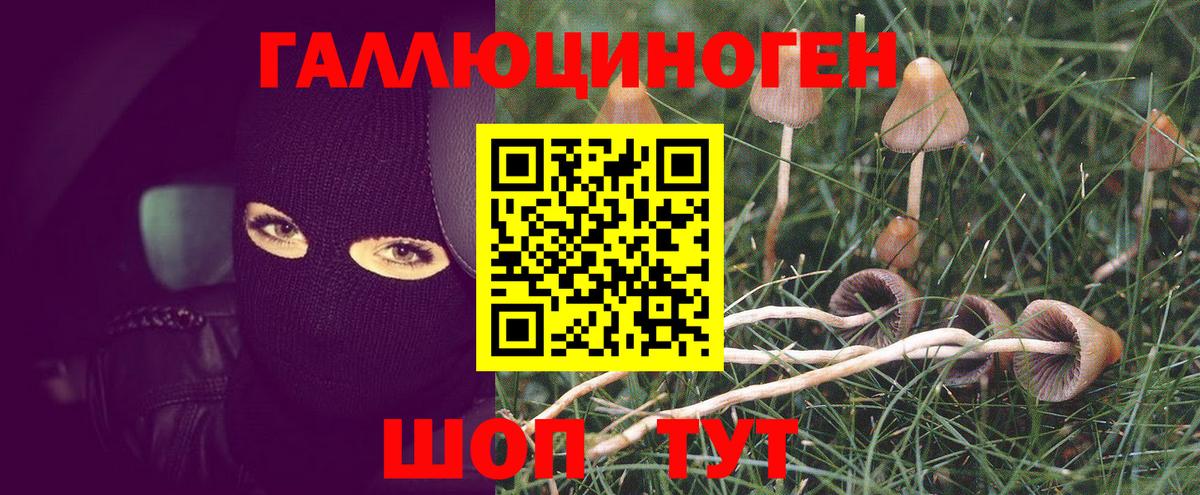 Галлюциногенные грибы MAGIC MUSHROOMS  купить   Архангельск  Вход с VPN 